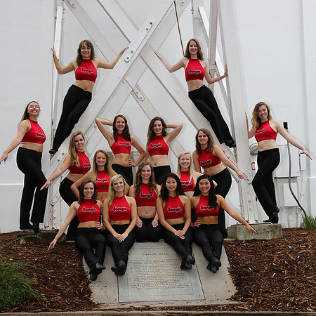 Georgia Dance Team