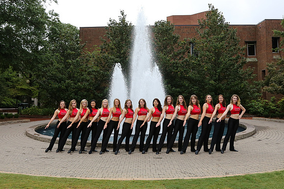 Georgia Dance Team