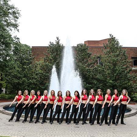 Georgia Dance Team