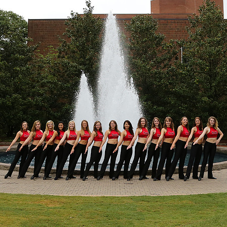 Georgia Dance Team