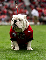 UGA X