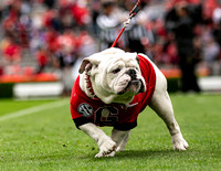 UGA X