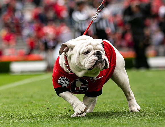 UGA X