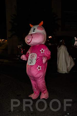 Wild Rumpus Parade 2016