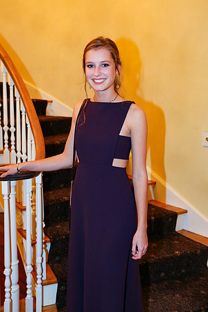 Phi Mu Presentation 2017