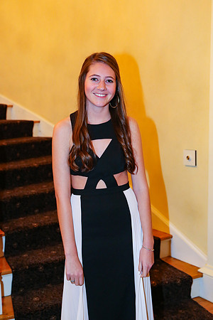 Phi Mu Presentation 2017