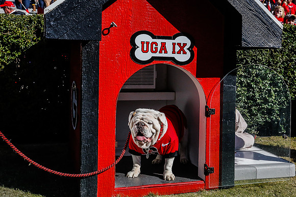 Georgia vs Charleston Southern
