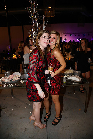Theta & Phi Mu Semiformal  2017