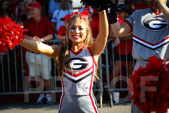Georgia vs Nicholls 2016 Football