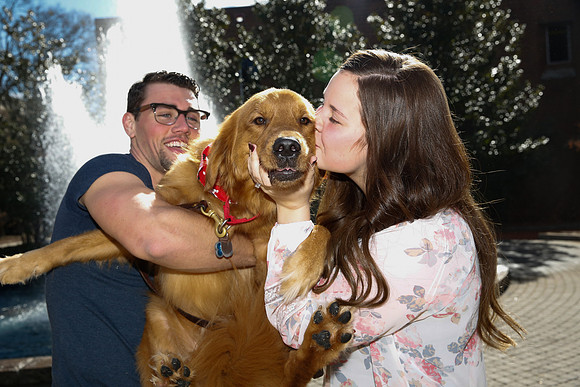 Stephen's Proposal to Aysha