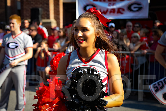 Georgia vs Nicholls 2016 Football