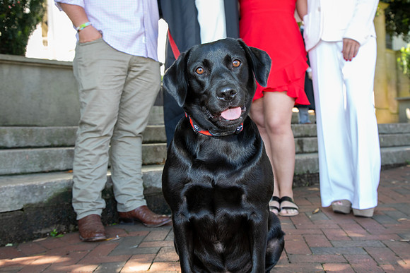 UGA Senior - Graduation Photos