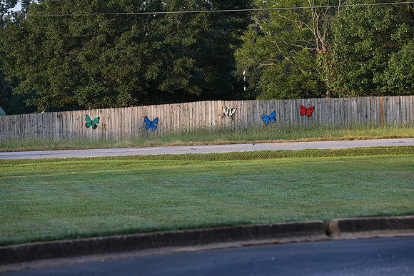 Butterfly Dreams Farm 5K