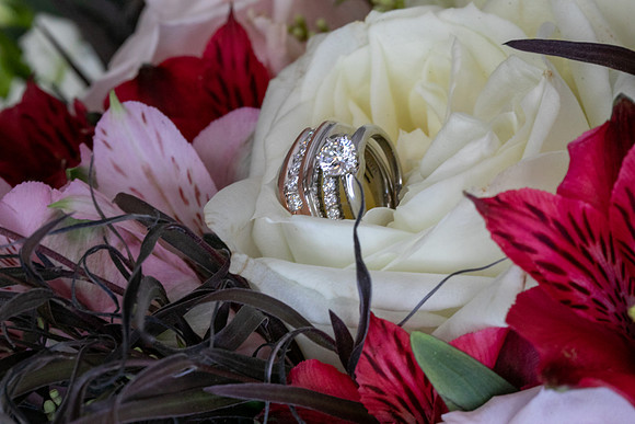 Jasmine & Cody Wedding Day