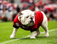 UGA X