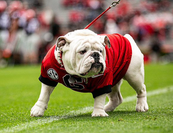 UGA X