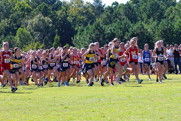 Cross Country 2017