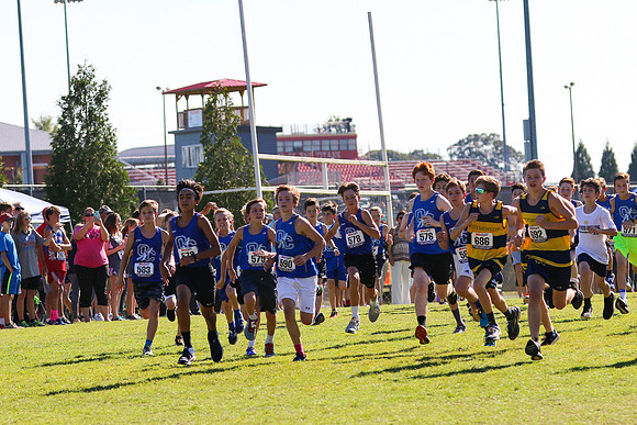 Cross Country 2017