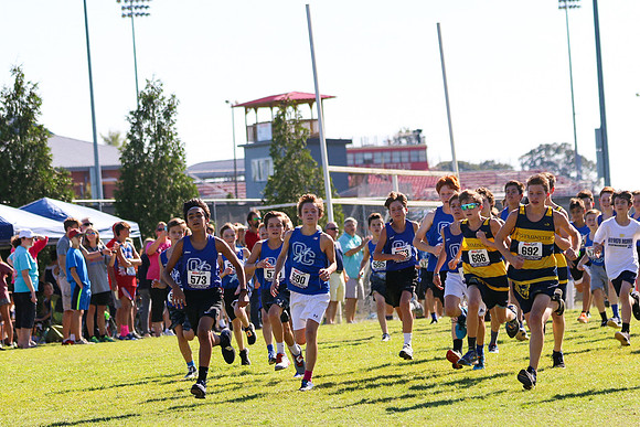 Cross Country 2017