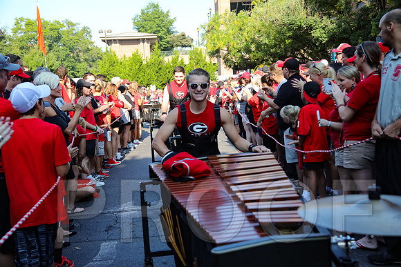Georgia vs Nicholls 2016 Football