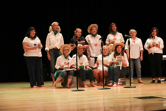 4-H Twilight 2018
