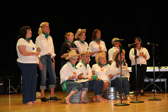 4-H Twilight 2018