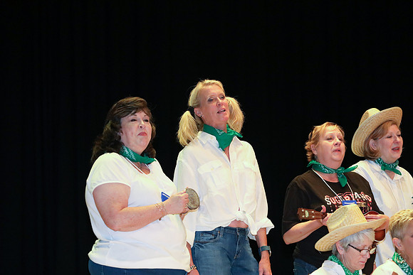 4-H Twilight 2018
