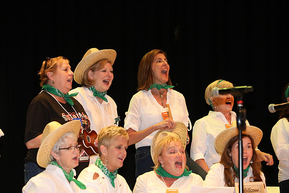 4-H Twilight 2018