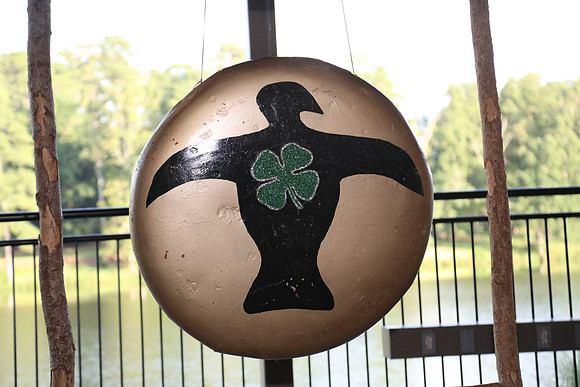4-H Twilight 2018
