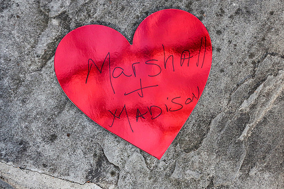 Marshall's Proposal to Madison