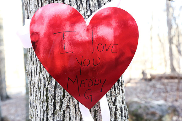 Marshall's Proposal to Madison