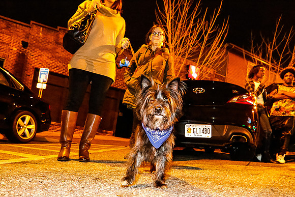 Athens Downtown Parade of Lights 2014
