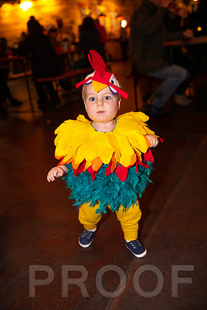 Wild Rumpus  Parade 2018