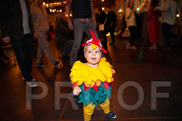 Wild Rumpus  Parade 2018