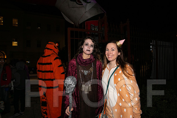 Wild Rumpus  Parade 2018