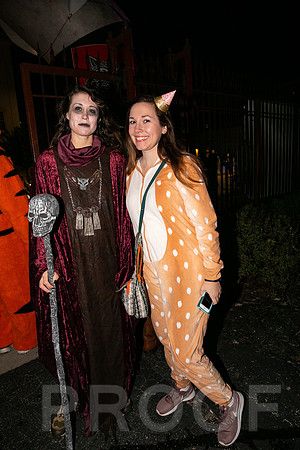 Wild Rumpus  Parade 2018