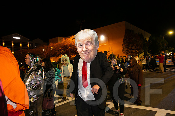 Wild Rumpus  Parade 2018