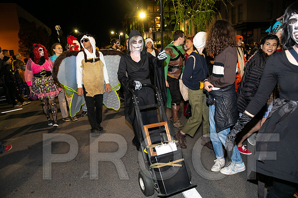 Wild Rumpus  Parade 2018