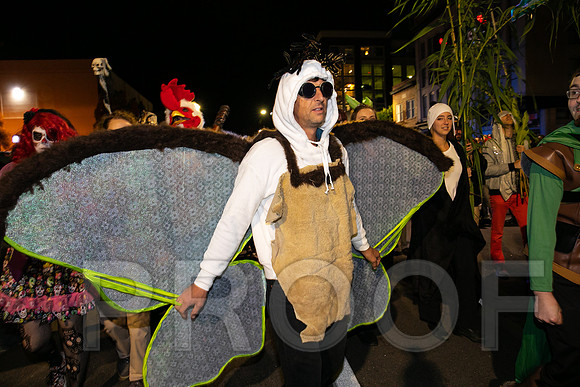 Wild Rumpus  Parade 2018