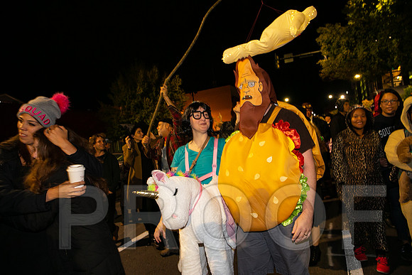 Wild Rumpus  Parade 2018