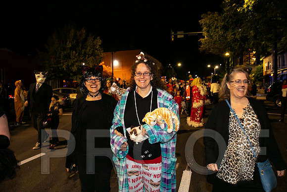 Wild Rumpus  Parade 2018