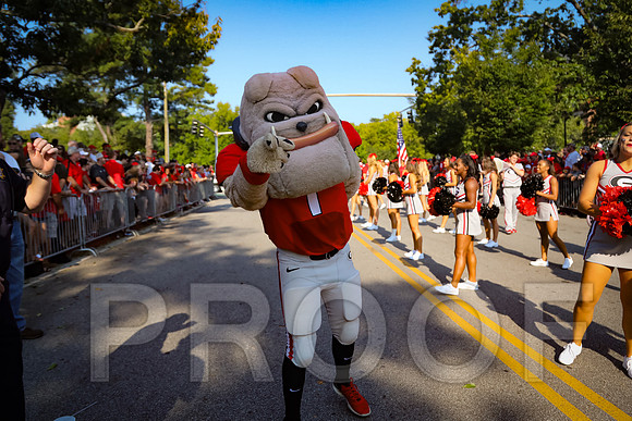 Georgia vs Nicholls 2016 Football