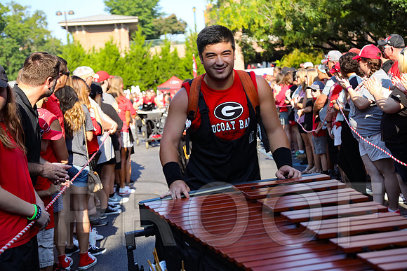 Georgia vs Nicholls 2016 Football