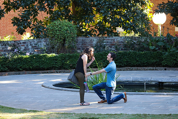 Stephen's Proposal to Morgan 2016