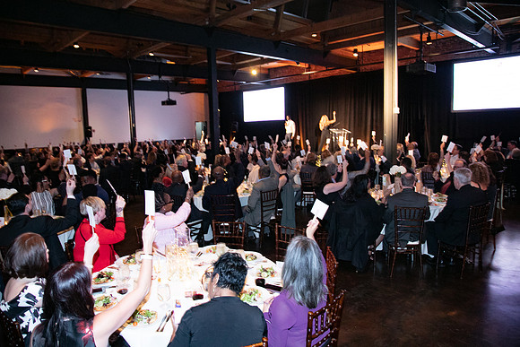 Magical Evening of Literacy Gala 2019