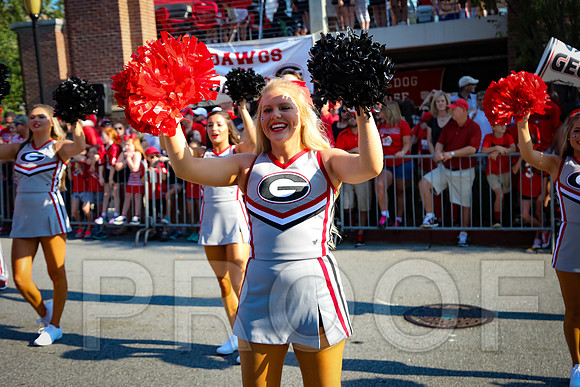 Georgia vs Nicholls 2016 Football