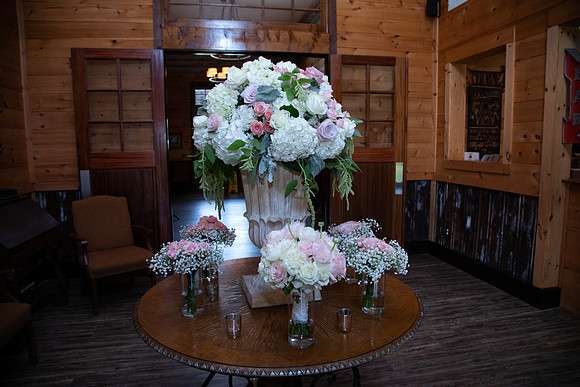 Elizabeth and Todd's Wedding 2019