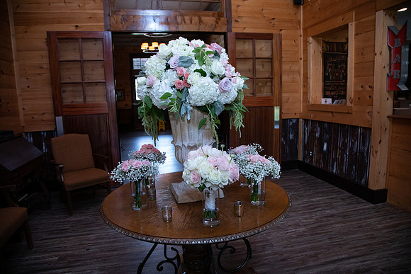 Elizabeth and Todd's Wedding 2019