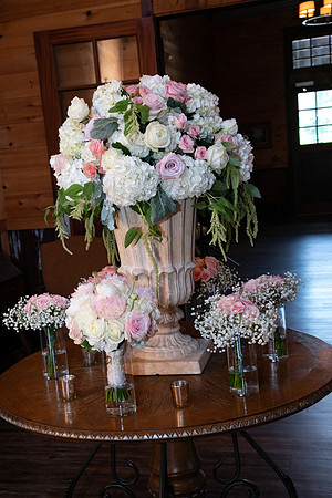 Elizabeth and Todd's Wedding 2019
