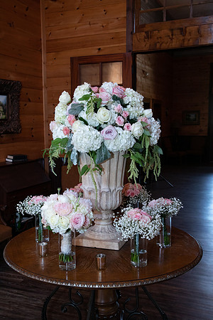 Elizabeth and Todd's Wedding 2019
